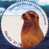 Colnect-4846-419-Galapagos-sea-lion.jpg