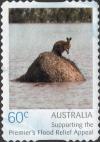 Colnect-6438-867-Wallaby-on-debris.jpg