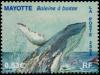 Colnect-851-172-Humpback-Whale-Megaptera-novaeangliae.jpg