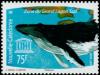 Colnect-858-916-Humpback-Whale-Megaptera-novaeangliae.jpg