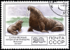 USSR_stamp_Walrus_1977.png