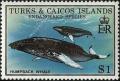 Colnect-1764-439-Humpback-Whale-Megaptera-novaeangliae.jpg