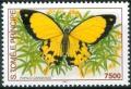 Colnect-2548-775-African-Swallowtail-Papilio-dardanus.jpg