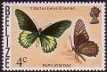 Colnect-455-113-Belus-Swallowtail-Battus-belus.jpg