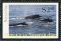 Colnect-4827-756-Humpback-Whale-Megaptera-novaeangliae.jpg