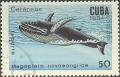 Colnect-679-217-Humpback-Whale-Megaptera-novaeangliae.jpg
