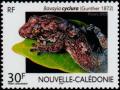 Colnect-858-325-Gunther--s-New-Caledonian-Gecko-Bavayia-cyclura.jpg