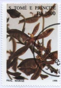 Colnect-938-320-Phalaenopsis-mariae.jpg