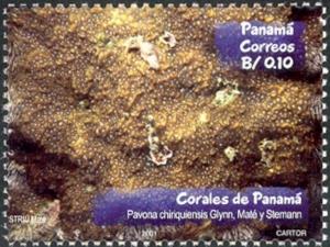 Colnect-1291-165-Leaf-Coral-Pavona-chiriquiensis.jpg