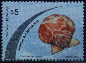 Colnect-1295-420-Tehuelche-Scallop-Aequipecten-tehuelchus.jpg