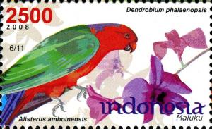 Colnect-1587-044-Moluccan-King-Parrot-Alisterus-amboinensis-Cooktown-Orchi.jpg