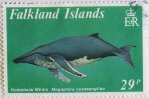 Colnect-2188-191-Humpback-Whale-Megaptera-novaeangliae.jpg
