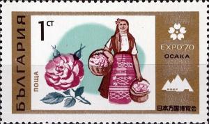Colnect-3676-740-Female-Bulgarian-Rose.jpg