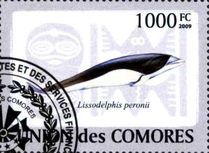 Colnect-3798-538-Southern-Right-Whale-Dolphin-Lissodelphis-peronii.jpg