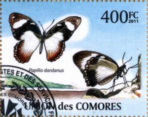 Colnect-4195-789-African-Swallowtail-Papilio-dardanus.jpg