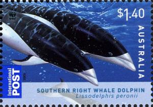 Colnect-4409-257-Southern-Right-Whale-Dolphin-Lissodelphis-peronii.jpg