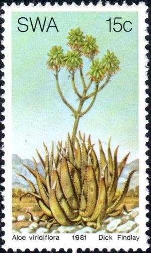 Colnect-4541-709-Aloe-viridiflora.jpg
