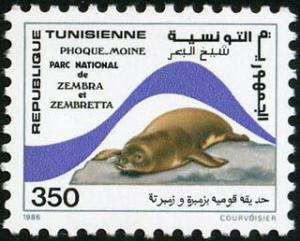 Colnect-6305-970-Mediterranean-Monk-Seal-Monachus-monachus-Zembra-and-Zemb.jpg