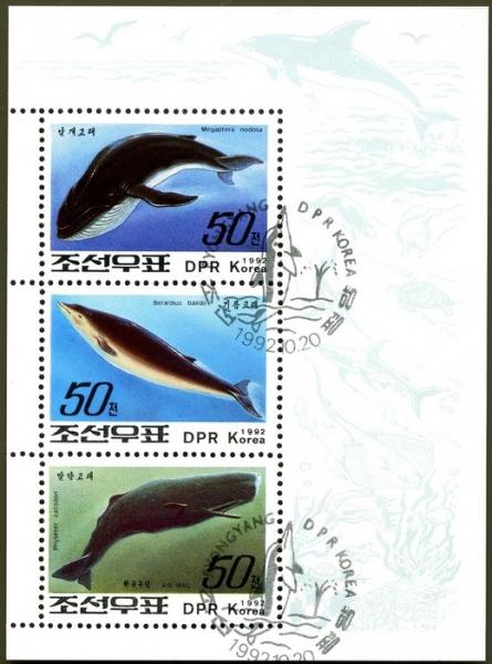 Colnect-1675-831-Humpback-whale-baird-whale-sperm-whale.jpg