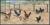 Colnect-2470-507-Australian-Poultry-Breeds.jpg