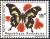 Colnect-2615-769-Hesperus-Swallowtail-Papilio-hesperus.jpg