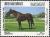 Colnect-5450-645-Horse-Equus-ferus-caballus--bdquo-Dubai-Millennium-ldquo-.jpg