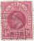 Stamp_Natal_1904.jpg