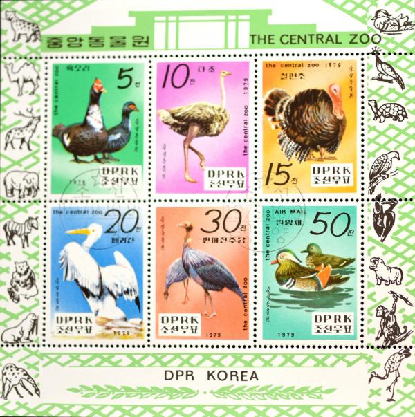 Colnect-2413-085-Birds-of-the-Central-Zoo-in-Pyongyang---MiNo-1905-10.jpg