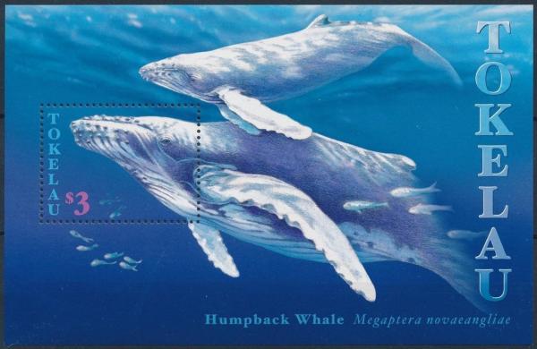 Colnect-4334-695-Humpback-Whale-Megaptera-novaeangliae.jpg