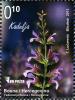 Colnect-4422-275-Salvia-officinalis.jpg