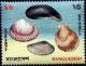 Colnect-3012-989-Scallop-other-shells.jpg