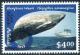 Colnect-3140-270-Humpback-whale-Megaptera-novaeangliae.jpg