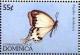 Colnect-3214-290-African-Swallowtail-Papilio-dardanus.jpg