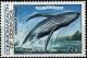 Colnect-5151-100-Humpback-Whale-Megaptera-novaeangliae.jpg