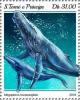 Colnect-5668-816-Humpback-Whale-Megaptera-novaeangliae.jpg