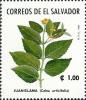 Colnect-5568-692-Calea-urticifolia.jpg