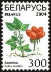 Colnect-1058-277-Stone-bramble---Rubus-saxatilis-.jpg