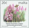 Colnect-131-423-Anacamptis-pyramidalis.jpg