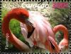 Colnect-1628-964-Caribbean-Flamingo-Phoenicopterus-ruber.jpg