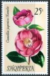 Colnect-2820-336-Japanese-camellia-Camellia-japonica.jpg