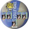 Colnect-2833-061-Sheet-European-Championship-Volleyball-Women-2015.jpg