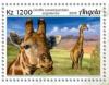 Colnect-6166-226-Giraffa-camelopardalis-angolensis.jpg