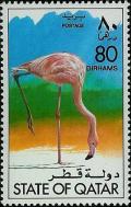 Colnect-1654-400-American-Flamingo-Phoenicopterus-ruber.jpg