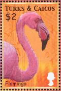 Colnect-1764-422-American-Flamingo-Phoenicopterus-ruber.jpg