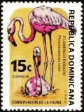 Colnect-2652-972-American-Flamingo-Phoenicopterus-ruber.jpg