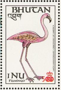 Colnect-3979-773-American-Flamingo-Phoenicopterus-ruber.jpg
