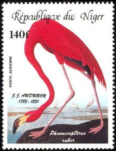 Colnect-2485-187-American-Flamingo-Phoenicopterus-ruber.jpg