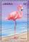 Colnect-3811-697-American-Flamingo-Phoenicopterus-ruber.jpg