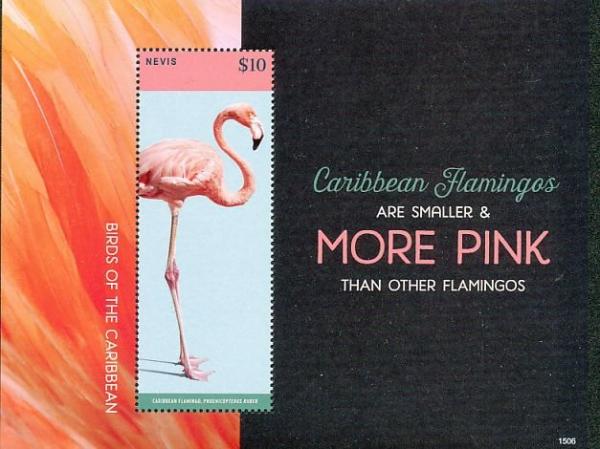 Colnect-4412-953-American-Flamingo-Phoenicopterus-ruber.jpg