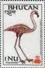 Colnect-3398-490-American-Flamingo-Phoenicopterus-ruber.jpg